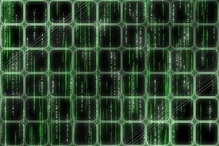 九游app下载中心-法甲球队基于大数据优化边路进攻防守平衡策略，法甲边锋