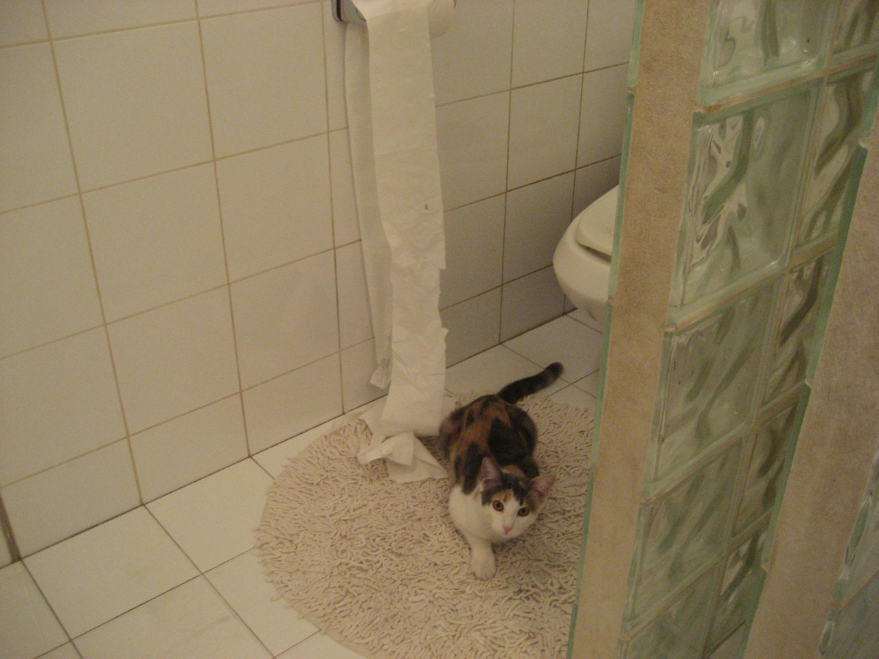 九游下载安装-Chinese Taipei乒乓战术：精准发球与快速反击，中国台北乒乓