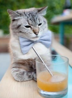 九游娱乐(jiuyou)官方网站-“2025世界运动会：运动舞蹈赛场，舞者在旋转中挑战极限！”  第1张