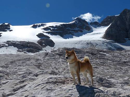 九游官网主页-体育新闻中心推动体育赛事5G直播技术应用，5g+ar+体育