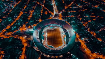 九游jiuyou-埃及队未来规划：全方位打造高水平乒乓队伍，埃及乒乓球男团名单