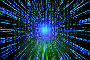 Jiu You-新加坡队未来之路：如何在全球乒乓赛事中争夺更多荣誉，新加坡乒乓球厉害吗