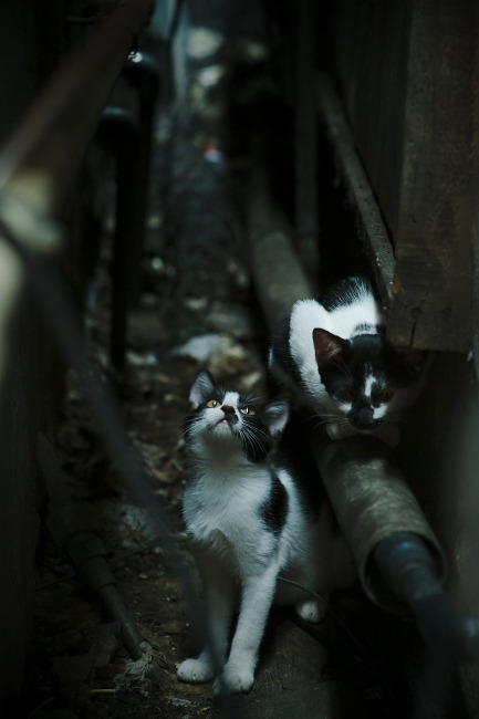 九游下载中心-转身节奏变化：中选手滑出长度更稳定，转身教程