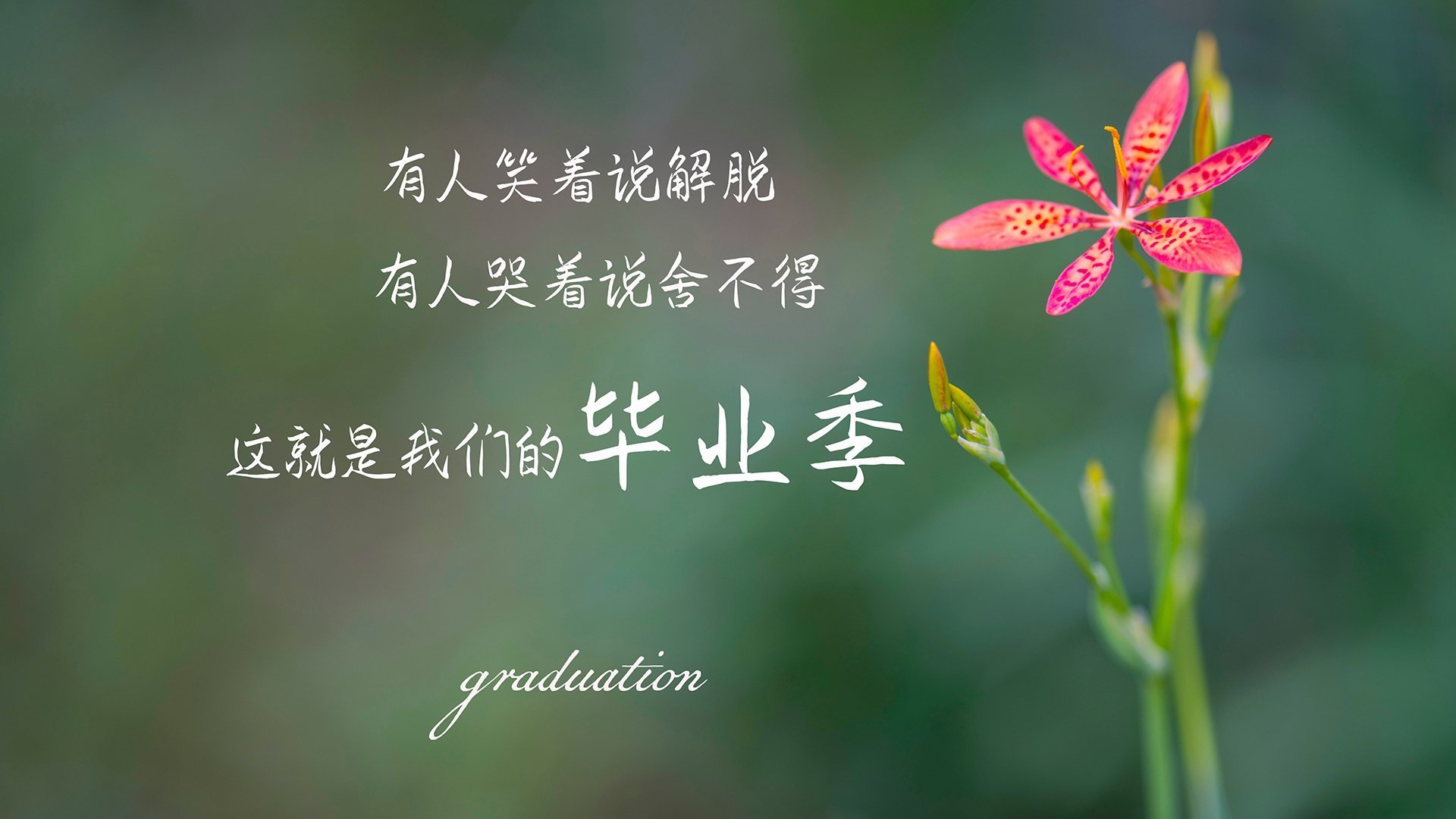 九游app官网下载-墨西哥男篮在国际邀请赛中出色表现，走向更高舞台