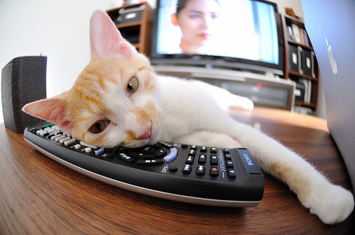 九游下载官网-张雨霏分析转项优势并展望未来计划