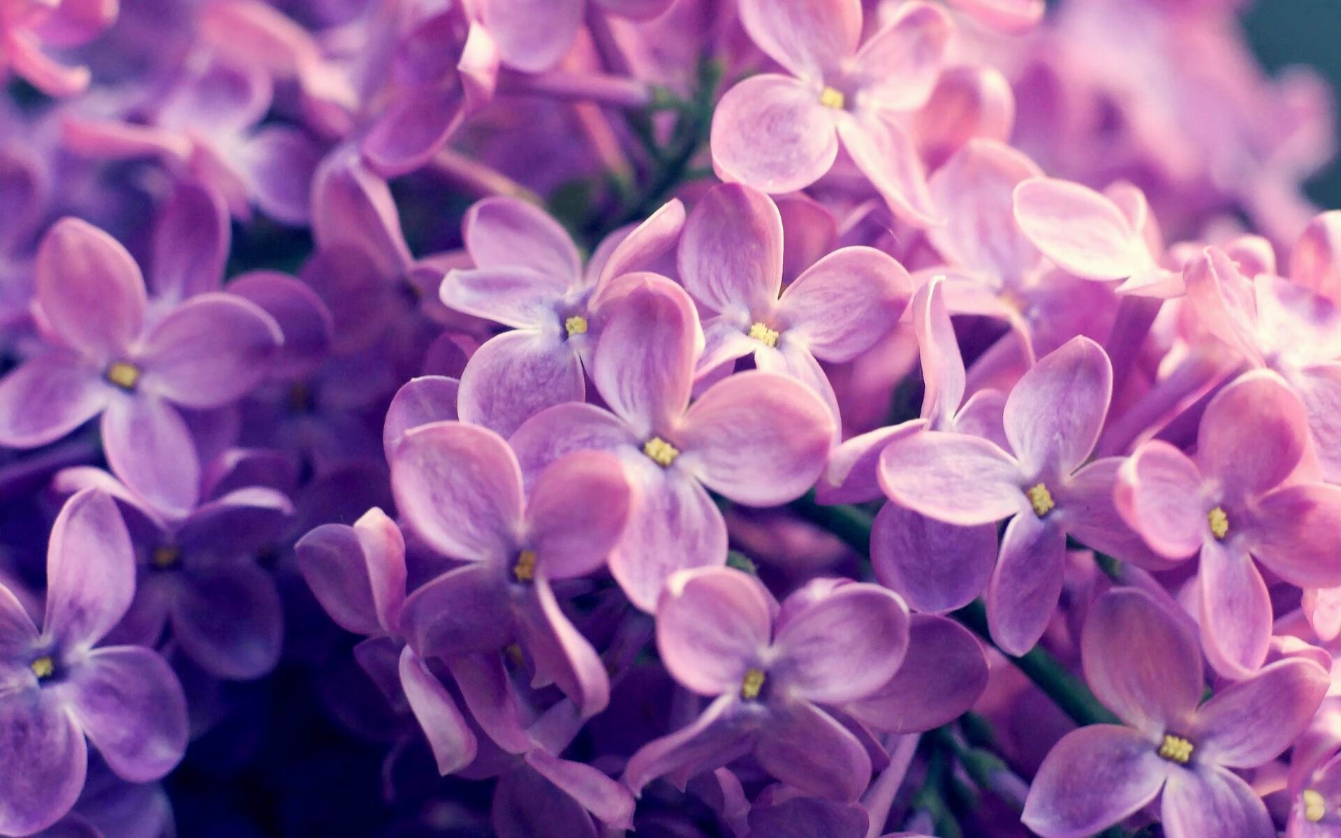 -梅尔滕斯与对手展开长距离拉锯战，梅尔滕斯定理的证明