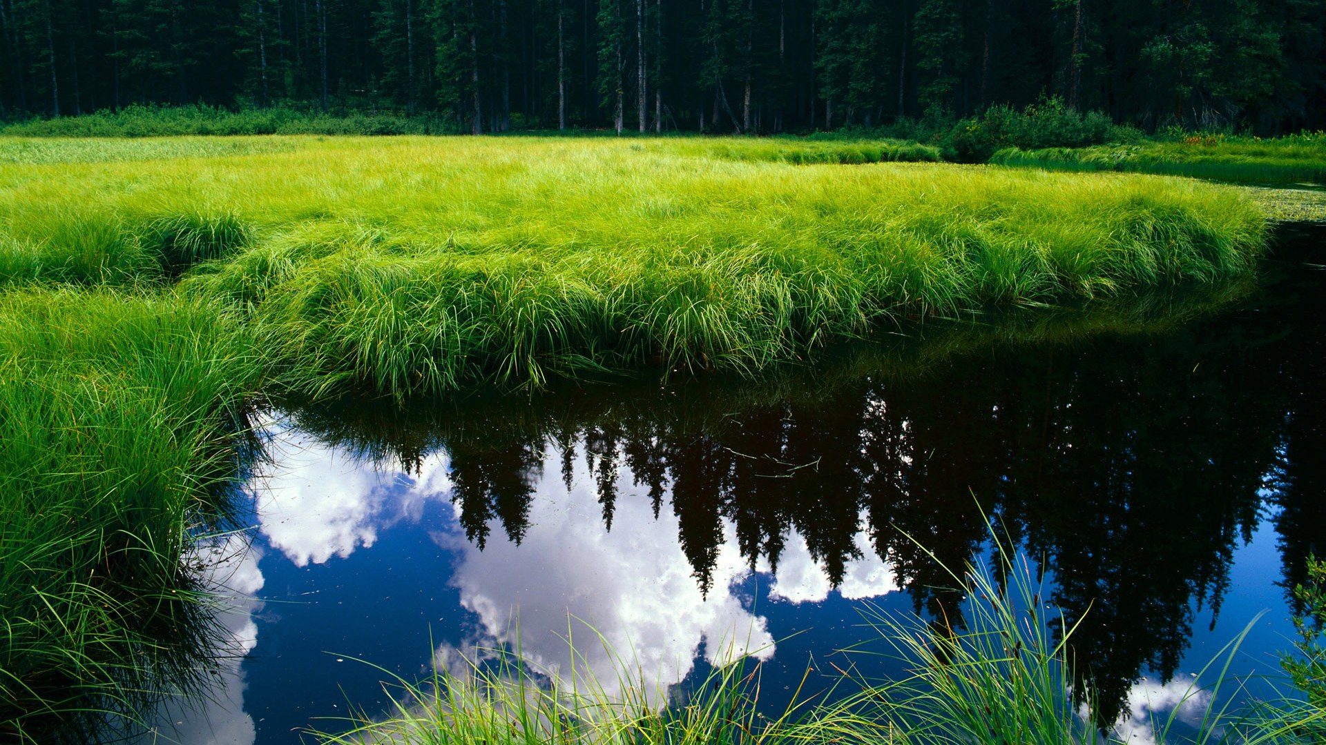 九游正版入口-西甲攻防对决:精彩瞬间频频上演!,西甲防守强度