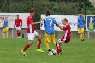 九游电脑版-足球俱乐部财务公开制度促进透明化管理,足球俱乐部财政