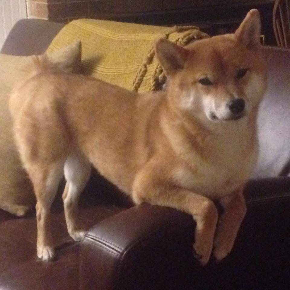 九游sports-青训体系建设纳入体育中考足球参与率稳步上升,中国足球青训大纲内容