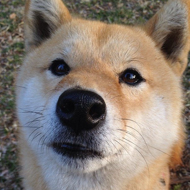 九游用户空间-中国篮球裁判管理制度的地方差异化改革路径，我国篮球裁判现行等级有几种  第2张