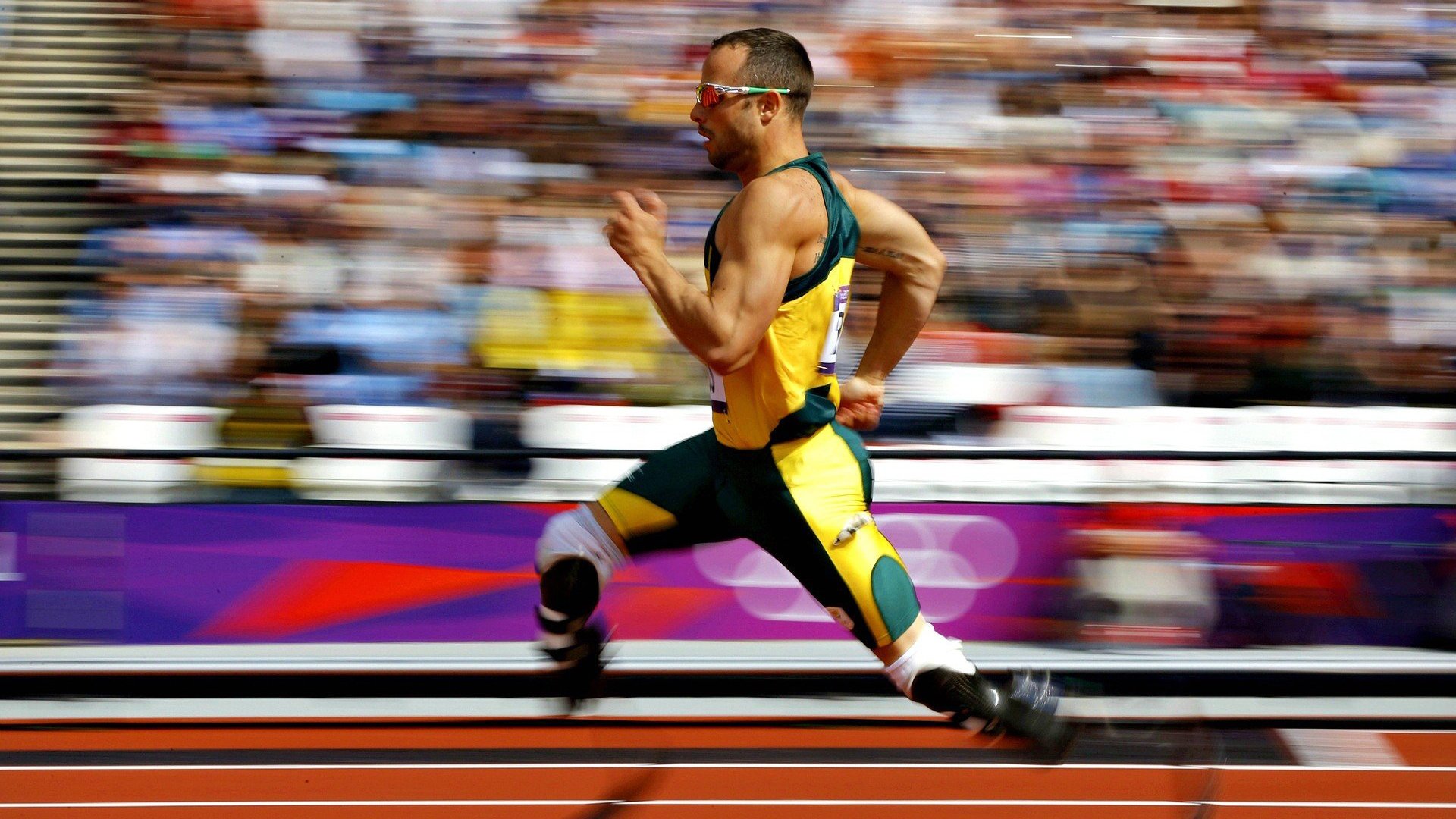 世界杯：全球转播将首次提供“教练视角频道” 重点展示技战术布置